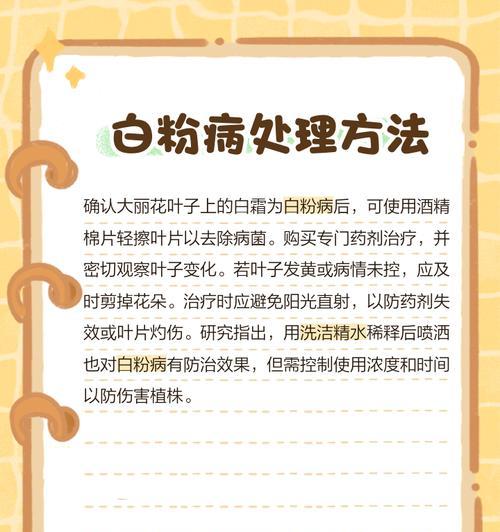 大丽花叶子卷曲的原因及处理方法（揭秘大丽花叶子卷曲的背后原因，教你有效处理方法！）