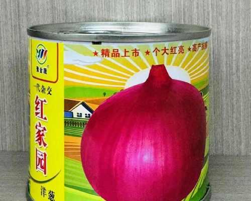 洋葱种球保存和种植的技巧（如何保存洋葱种球？什么是最佳种植时间？）