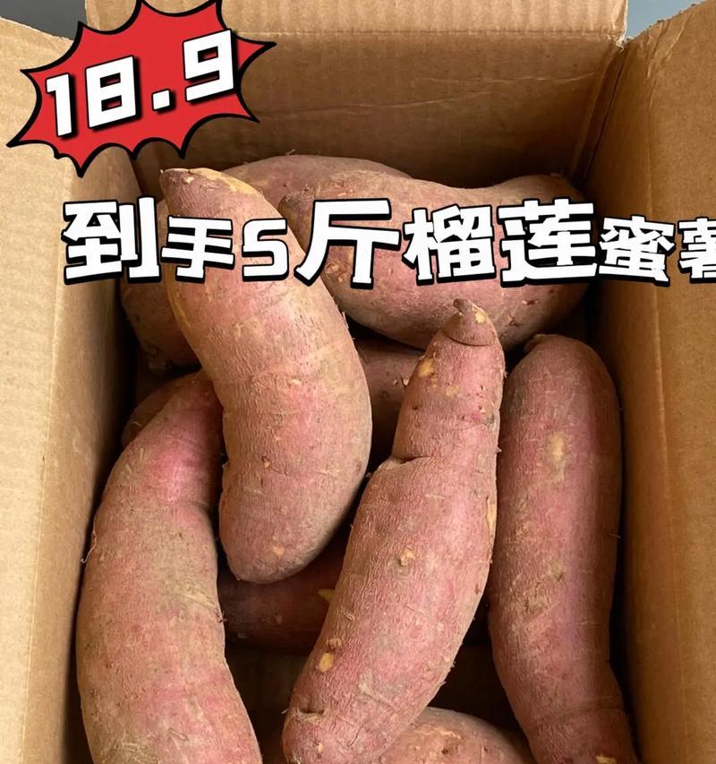 品味榴莲蜜的独特魅力（探寻榴莲蜜的口感与味道）
