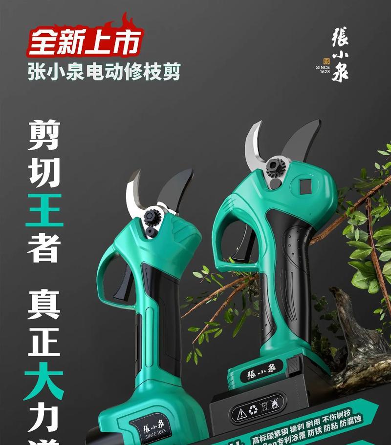 美人菊修剪指南（时间、方法与技巧全解析，快速打造美丽园林！）