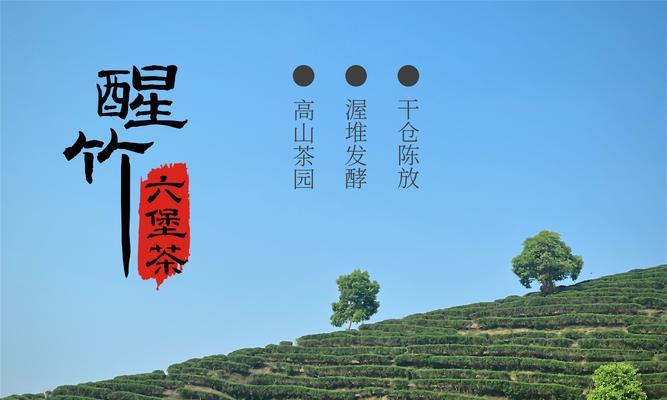 品味广西六堡茶（解密中国茶文化）