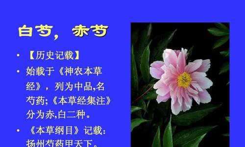 解读白芍和赤芍的区别（同源异名的草药中的分别）