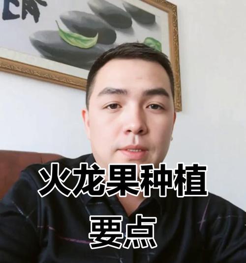 火龙果种植时间选择的重要性（掌握最佳种植时间让火龙果长势更好）