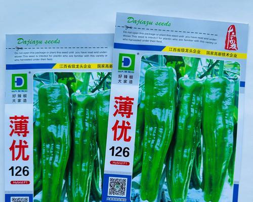 干辣椒的种子怎么种？（干辣椒种植的步骤和注意事项）