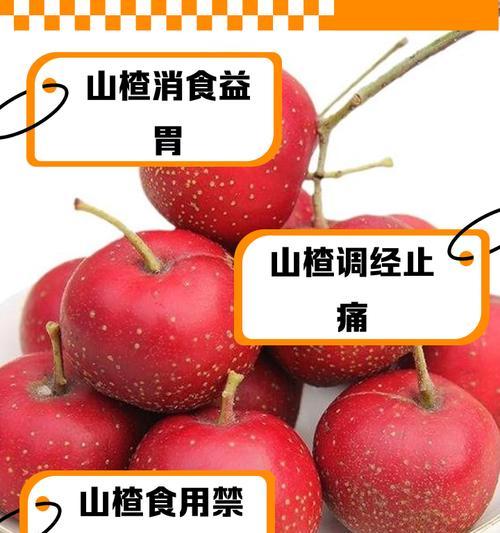 山楂（深入探究山楂的生长环境和生长特点，解读其适应能力和独特魅力）