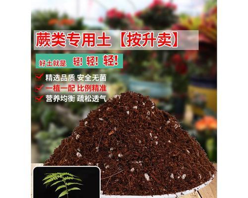 沙质土适合种植哪些农作物？（选择适宜的作物，提高沙质土地的利用率）