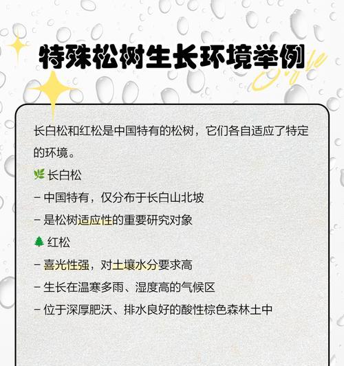 松树寿命究竟有多长？（探索松树的生命奥秘，了解它们的成长轨迹和寿命极限）