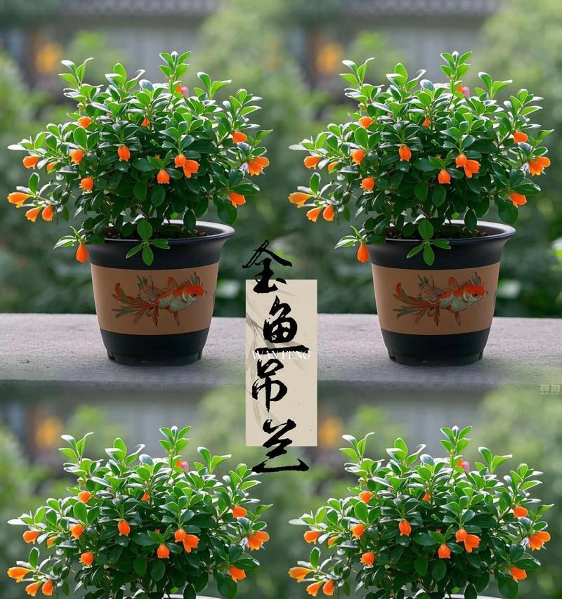 探秘家中的植物王国（15种常见的家居植物，如何护理和欣赏）