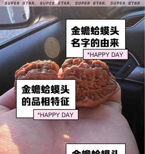 核桃成熟期及采摘时间（了解核桃的成熟特征，采摘时间掌握在手）