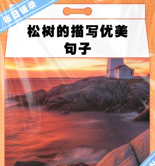 松树的样子与特点剖析（揭开松树神秘的面纱——探究其外形和特性）