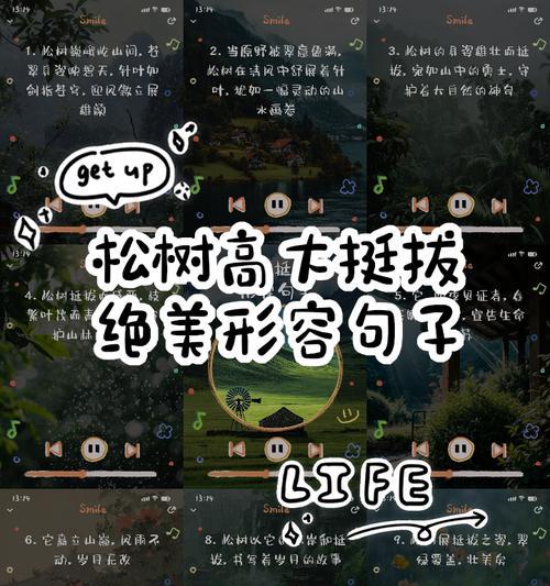 松树的样子与特点剖析（揭开松树神秘的面纱——探究其外形和特性）