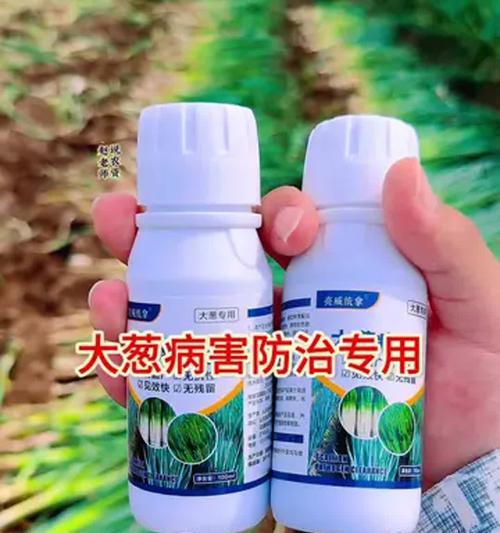 大葱底肥施什么肥最好（选择最佳肥料，让大葱生长茁壮）
