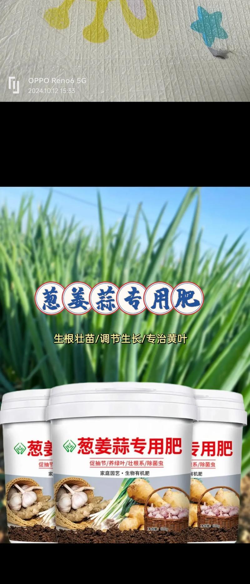 大葱底肥施什么肥最好（选择最佳肥料，让大葱生长茁壮）