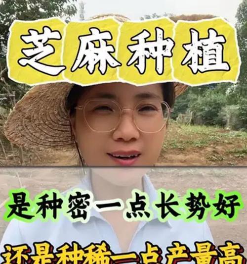 春季种植麻芝，收获丰盈（全面了解麻芝种植的时间和方法，轻松掌握丰收技巧）