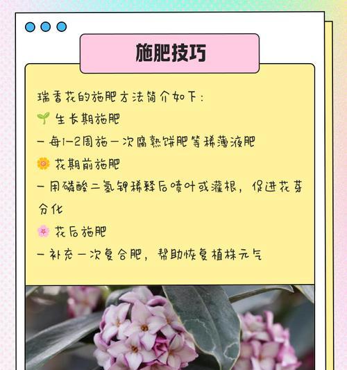 瑞香叶子为什么会发蔫（探究瑞香叶子发蔫的原因及有效补救方法）