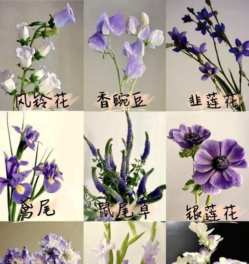 传承中华文化的祭典，体现人类情感的盛会（传承中华文化的祭典，体现人类情感的盛会）