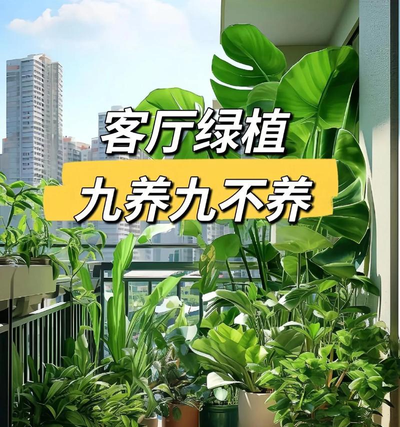 属猴客厅的植物选择(为您的房间带来好运) 属猴客厅的植物选择(为您的房间带来好运)