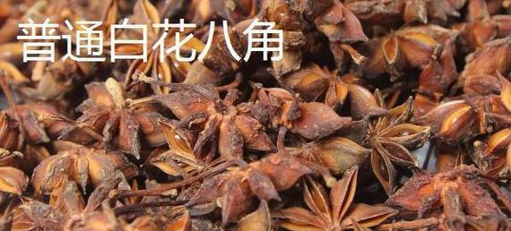 品尝八角的最佳选择（探究各类八角品种，选出最适合品尝的一款）