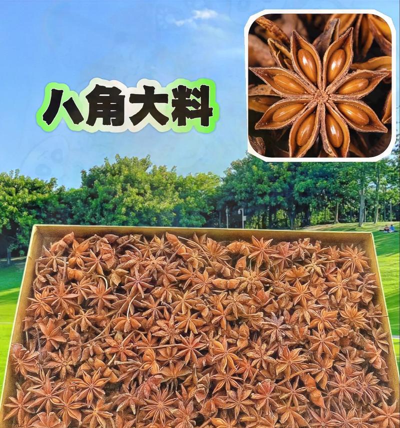 品尝八角的最佳选择（探究各类八角品种，选出最适合品尝的一款）