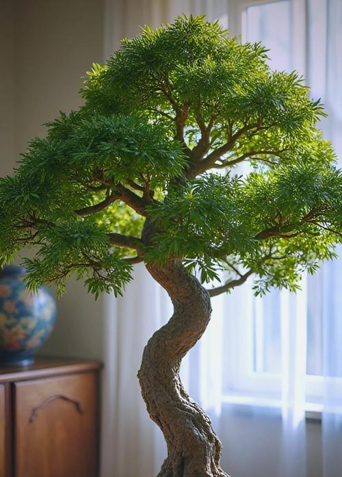 家里养植物的风水之道（打造幸福家居，从植物开始）