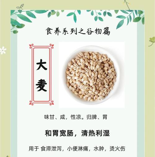 大麦的生长习性特点与生长环境条件（了解大麦生长的关键知识，提高种植效益）