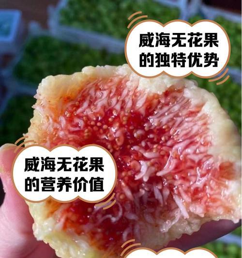 无花果成熟季节剖析（探寻无花果成熟的时令和养生之道）
