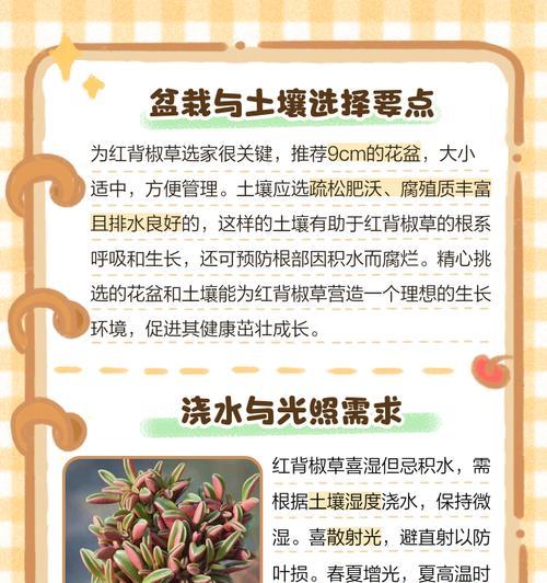 山椒藻并非蕨类植物（探究山椒藻的分类和特征）
