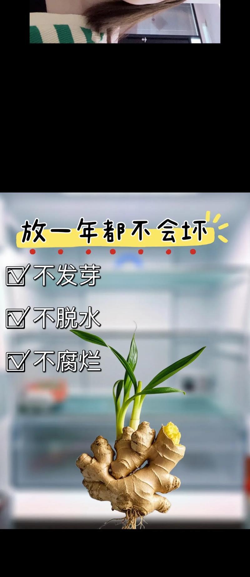 嫩姜保存大全（怎样保存嫩姜才能更加耐放？）
