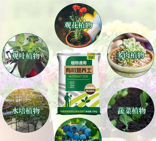 绿萝种植的选择与技巧——适合土种的特点和栽培方法