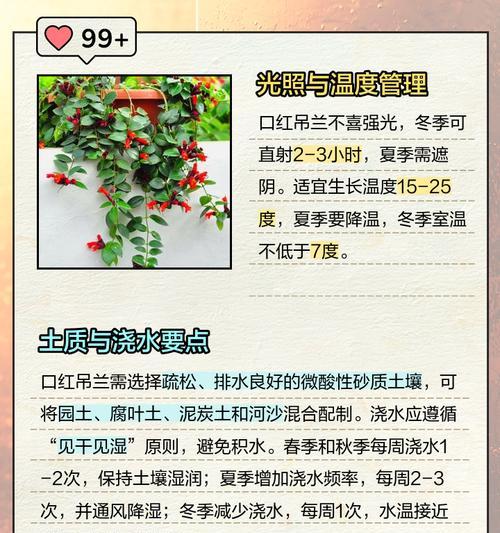 口红吊兰花期及其繁殖方法（一年开几次花？如何延长花期？如何繁殖？）