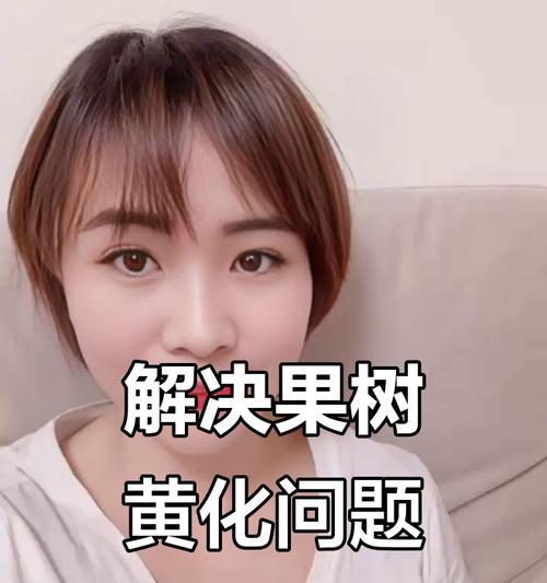 果树黄叶原因及解决方法（寻找根源，拯救果树；预防为主，治疗为辅）