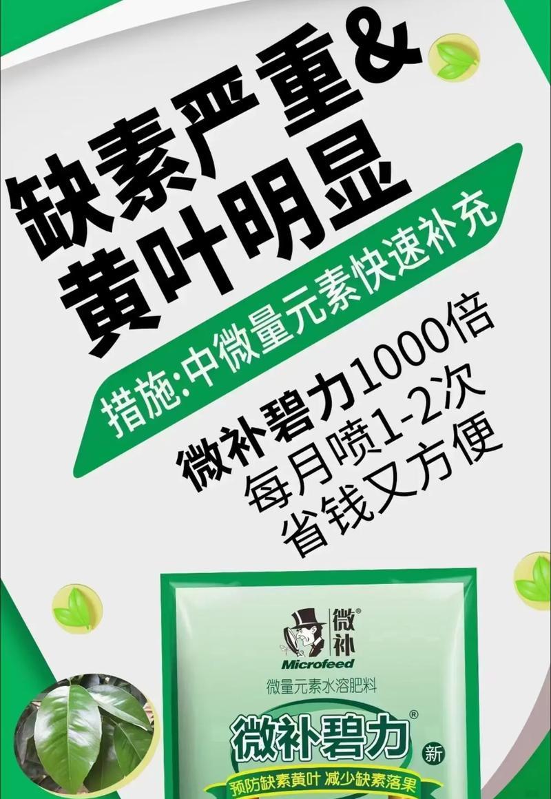 果树黄叶原因及解决方法（寻找根源，拯救果树；预防为主，治疗为辅）