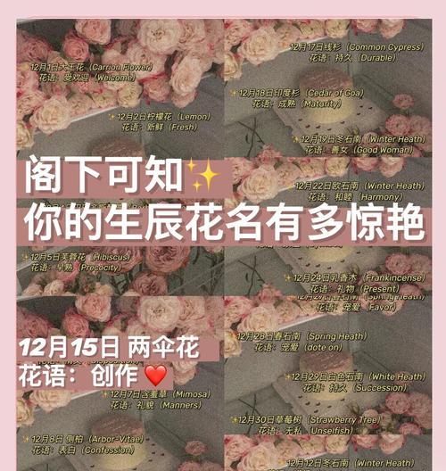 金银花的种植时间和方法（掌握正确的种植时间和方法，让金银花茁壮成长）