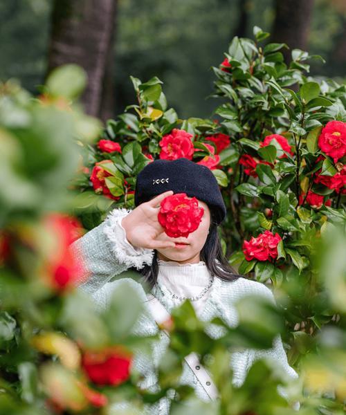 油菜花的奇妙之处（探秘油菜花的花瓣、花蕊和颜色主宰）