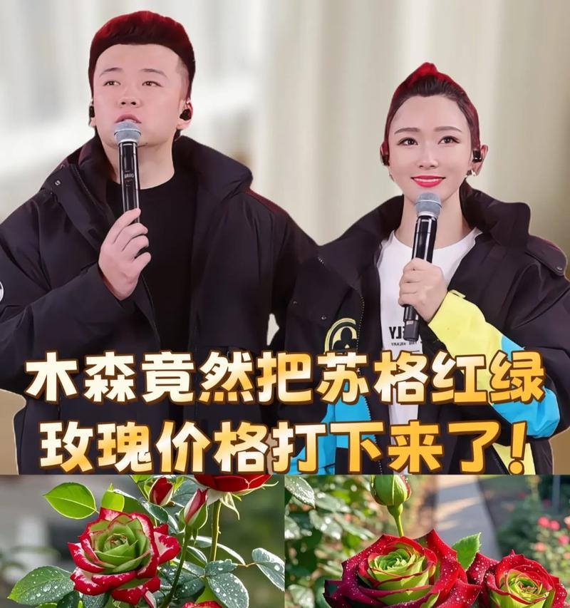 玫瑰栽种在冬天（生命力强的品种，必须注意的地方）
