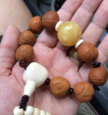 凤眼菩提长虫子的防治方法（如何应对凤眼菩提受虫害？）
