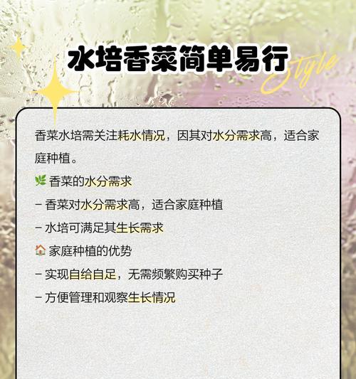 打造香菜水培王者，让你的香菜更旺！（教你养护技巧，让香菜欲罢不能；水培利器，让香菜生机勃勃）