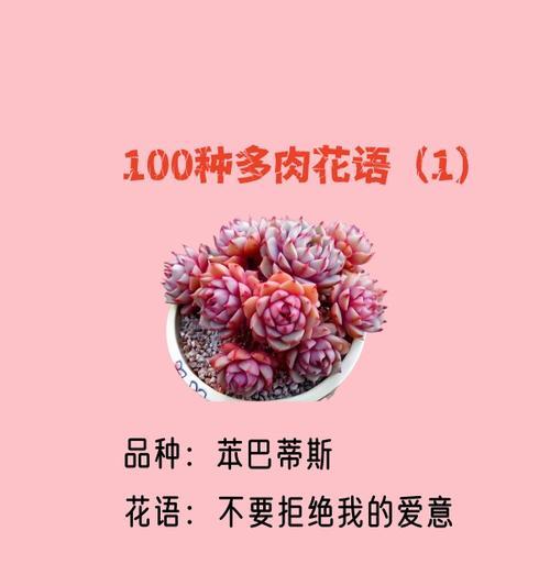 傲慢之花——白百合的花语（探究白百合花的含义及象征）