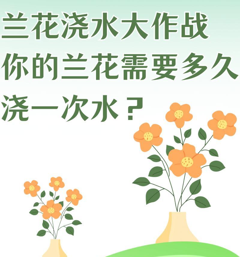 室内兰花养护全攻略（浇水的秘诀与注意事项）