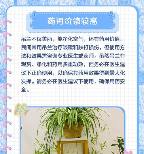 吊兰烂心怎么办？（教你正确养护吊兰，有效避免烂心）