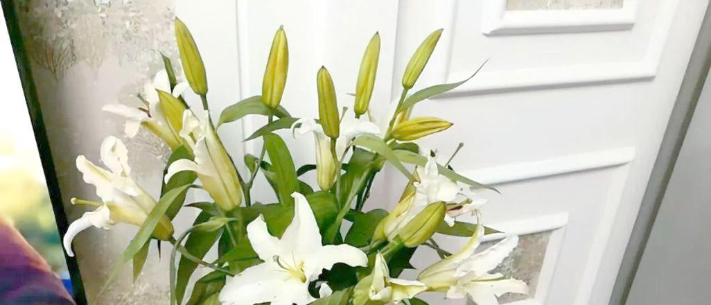 百合花不开花的原因（探究百合花不开花的因素和解决方法）