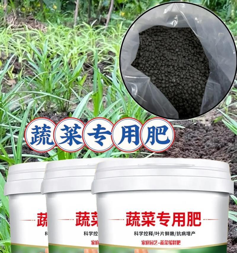 小辣椒肥料选择大揭秘（打造肥沃土壤，让小辣椒健康成长）
