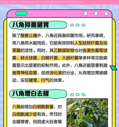 八角木的养殖方法和注意事项（打造绿色生态园林——八角木的种植技巧）