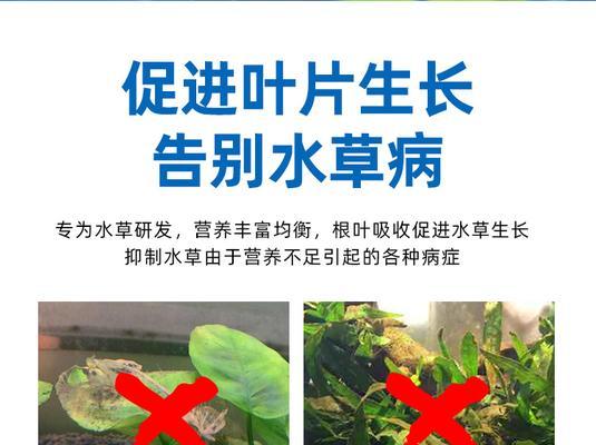 水草营养液使用指南（多久加一次合适？如何正确使用？）