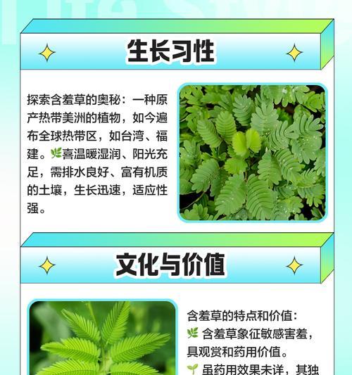 含羞草种植指南（适合哪些月份种植？如何培育？）