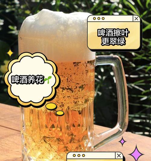 杜鹃花的养护（教你如何用啤酒水让杜鹃花生长得更美）