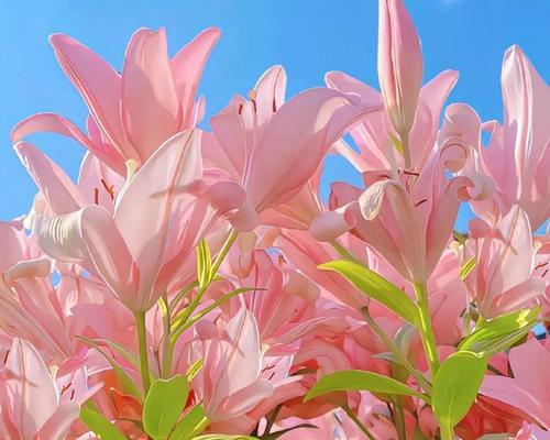 寓意深刻的代表意难平的花（探寻花语背后的深意）