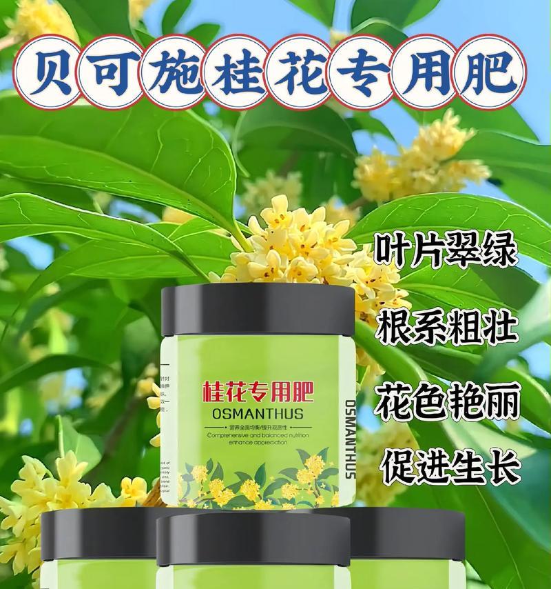 如何正确施肥，让桂花开得更美（桂花肥料选择与施用方法）