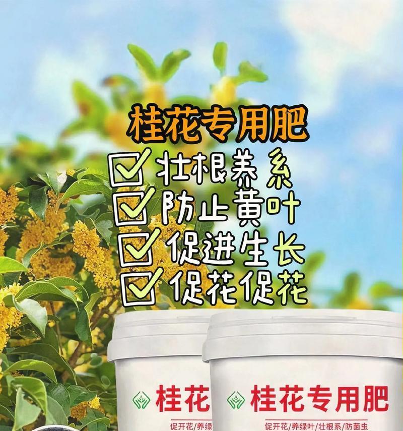 如何正确施肥，让桂花开得更美（桂花肥料选择与施用方法）