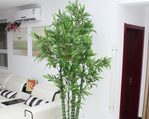 罗汉竹修剪方法详解（如何正确修剪罗汉竹？）
